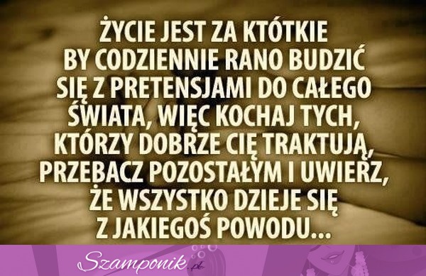 Życie jest za krótkie