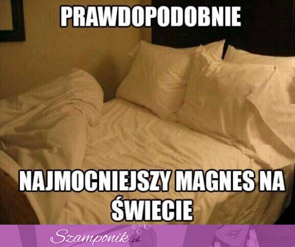 Najmocniejszy magnes na świecie