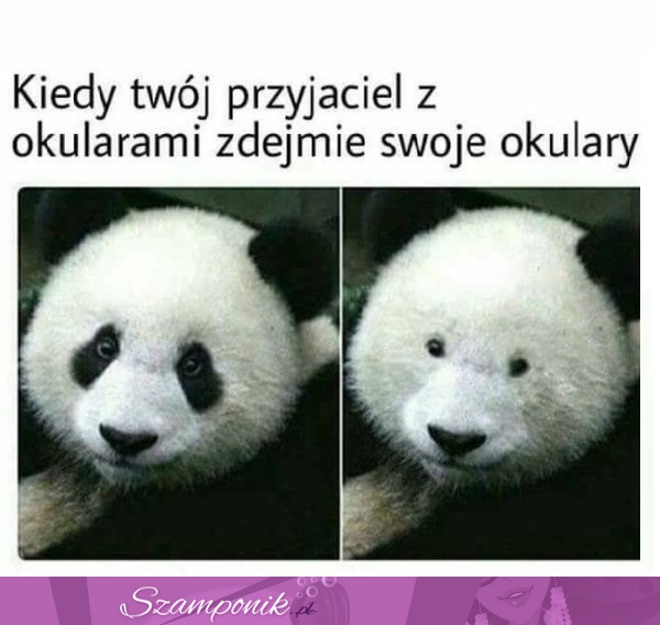 Gdzie są Twoje oczy...