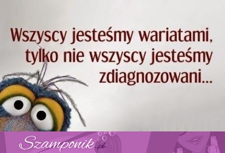 Wszyscy jesteśmy wariatami.