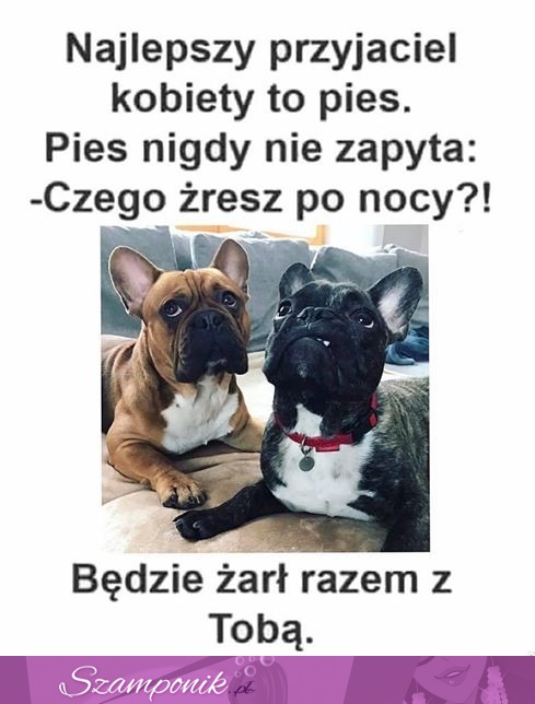 Najlepszy przyjaciel kobiety