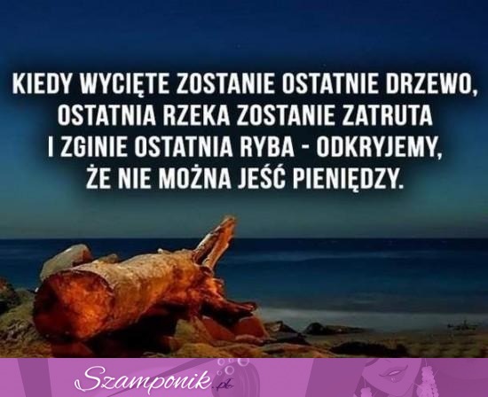 Kiedy wycięte zostanie ostatnie drzewo...