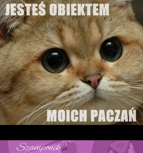 Jesteś obiektem moich paczań