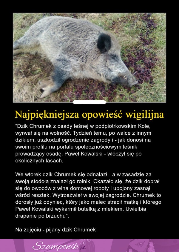 Najpiękniejsza opowieść wigilijna...