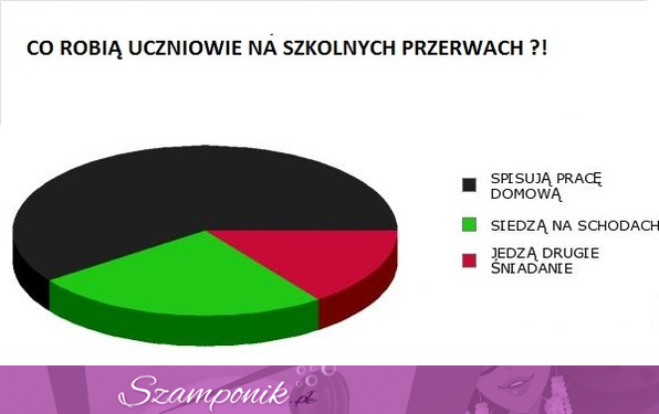 Co robią uczniowie na szkolnych przerwach, poznaj prawdę, haha! :P