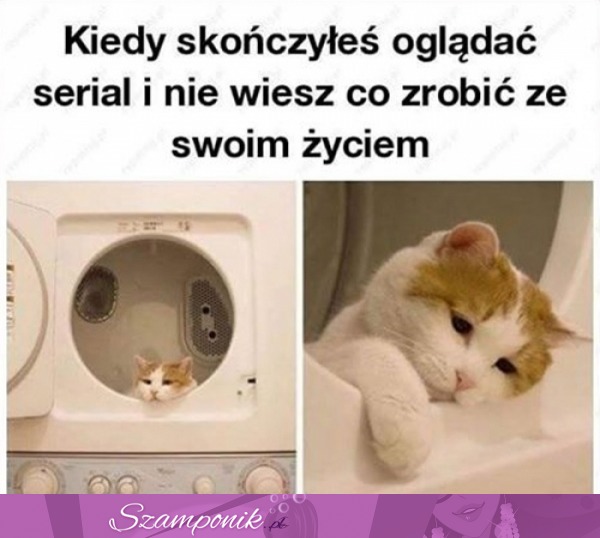 Może oglądnę jeszcze raz?