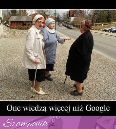 Wiedzą wszystko!