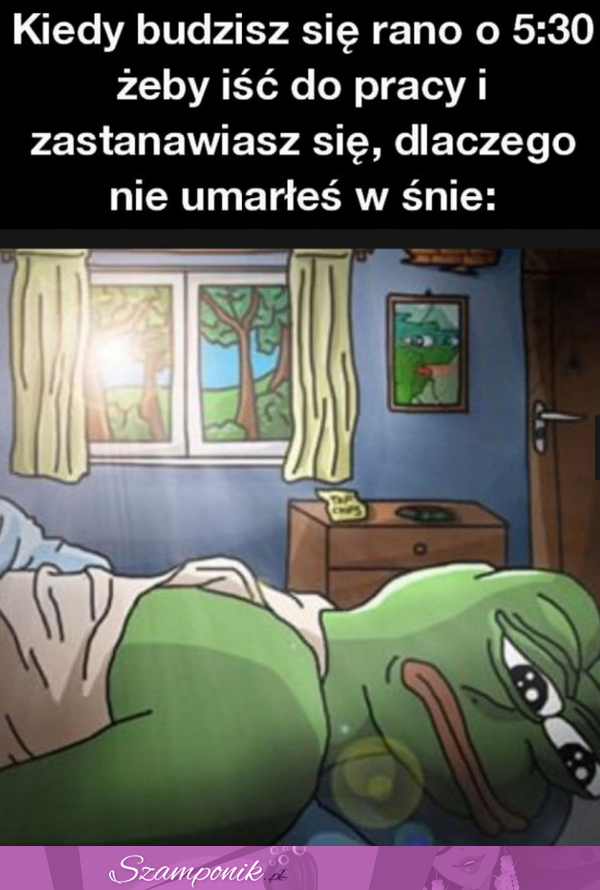 Jeszcze poniedziałek...