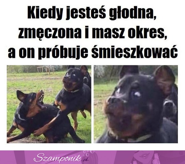 Kiedy jesteś głodna