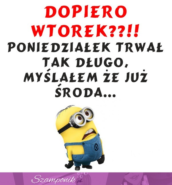 Dopiero wtorek