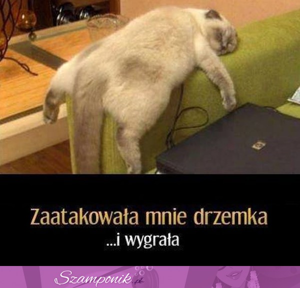 Zaatakowała mnie drzemka