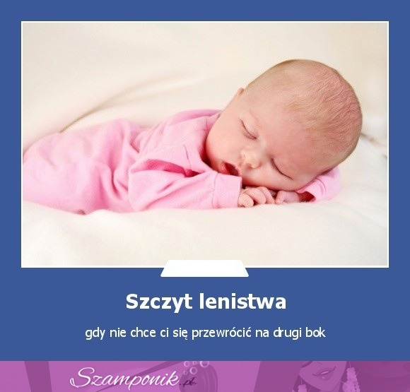 Szczyt lenistwa