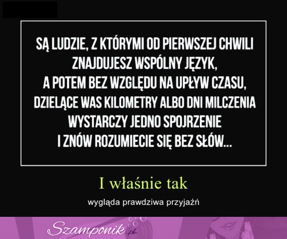 Prawdziwa przyjaźń...