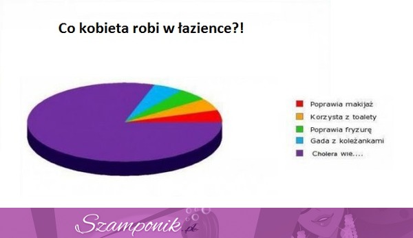 Pytanie dnia! Co kobieta robi w łazience?  Oto odpowiedź