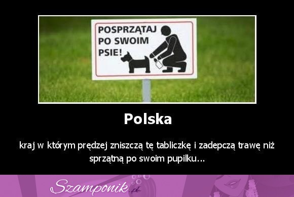 Polska...