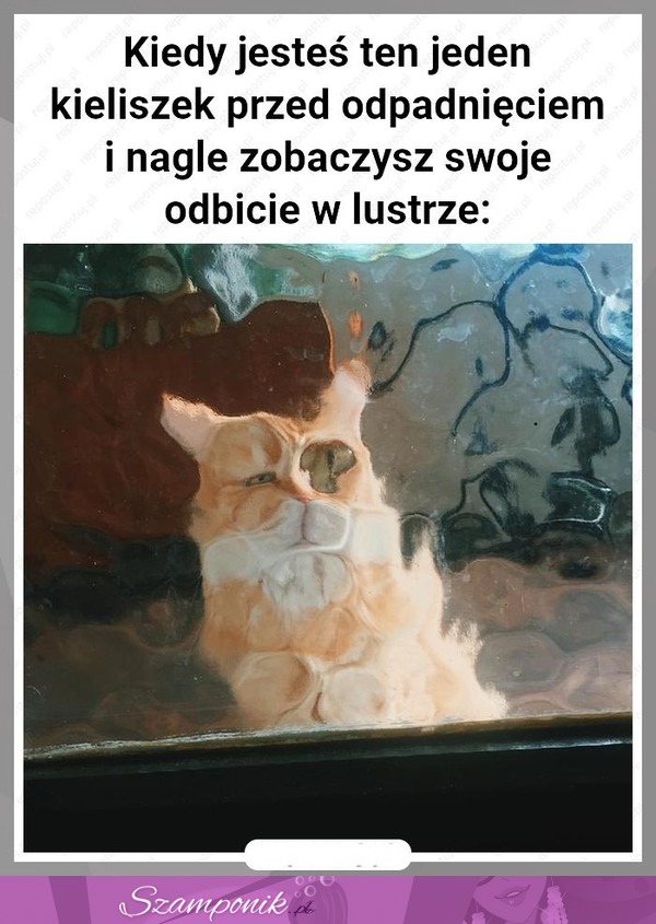 To chyba już.