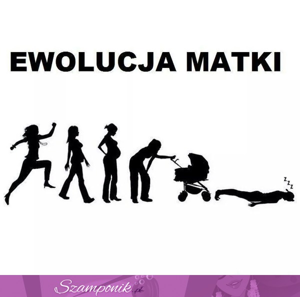 Ewolucja matki