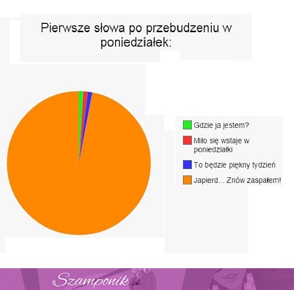 Jak brzmią pierwsze SŁOWA po PRZEBUDZENIU w PONIEDZIAŁEK?! Każdy tak ma :)