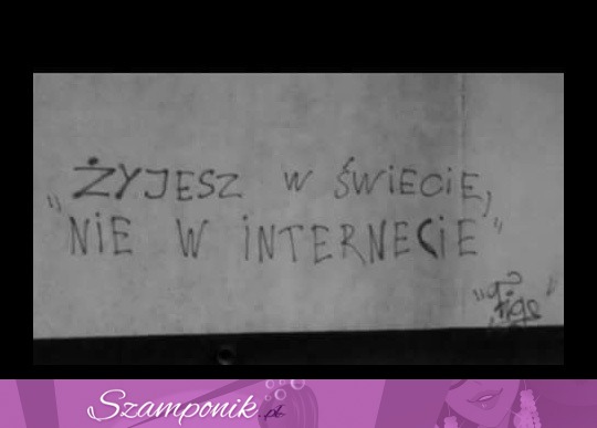 Żyjesz w świecie