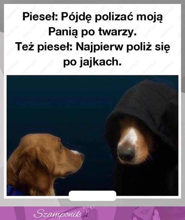 Będzie śmiesznie...