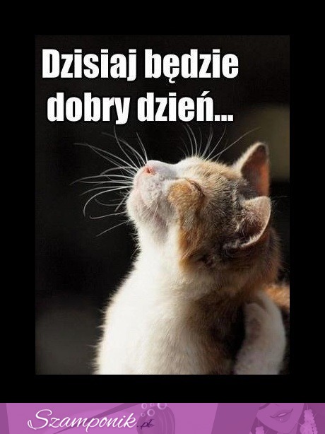 Dobry dzień