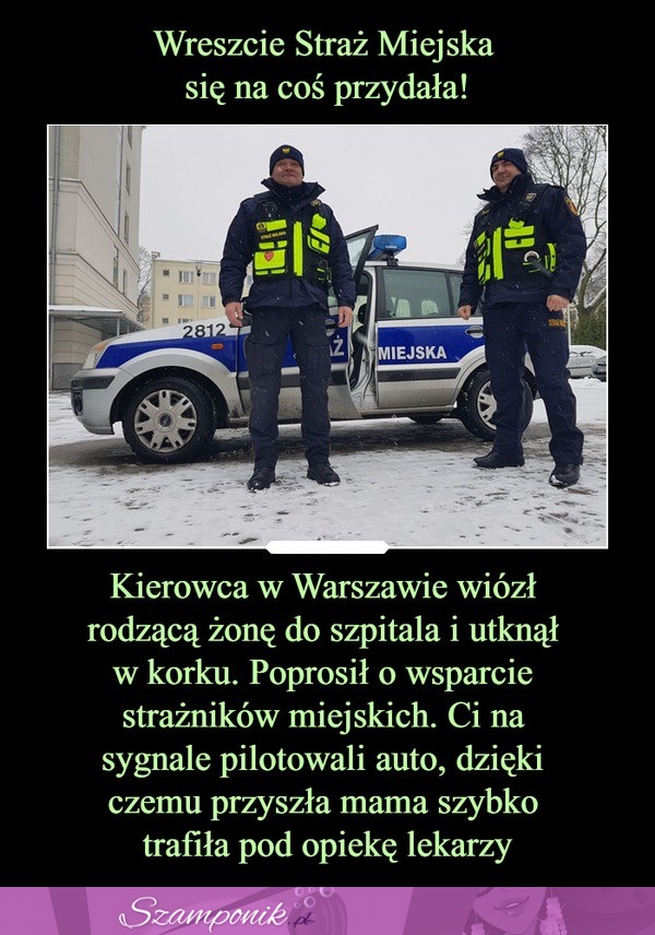 Wreszcie Straż Miejska się na coś przydała ;)