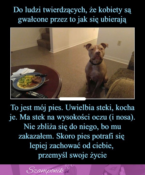 Ciekawe porównanie