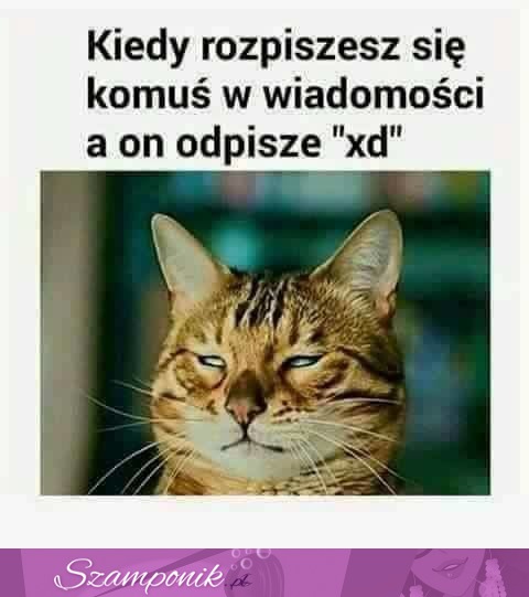 Kiedy rozpiszesz się...