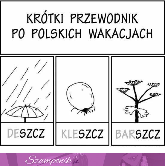 Krótki przewodnik po polskich wakacjach