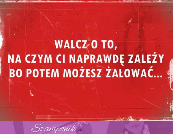 Walcz o to...