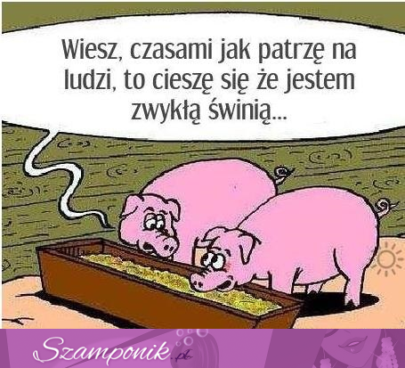 Życie