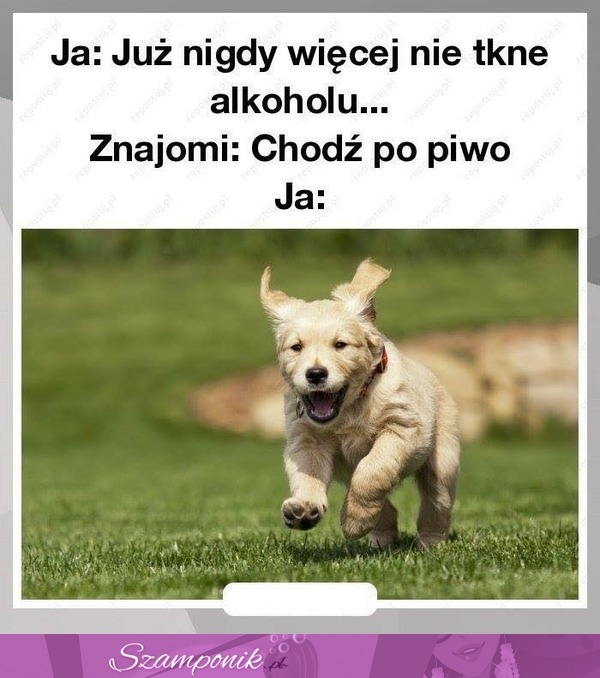 Nigdy więcej!