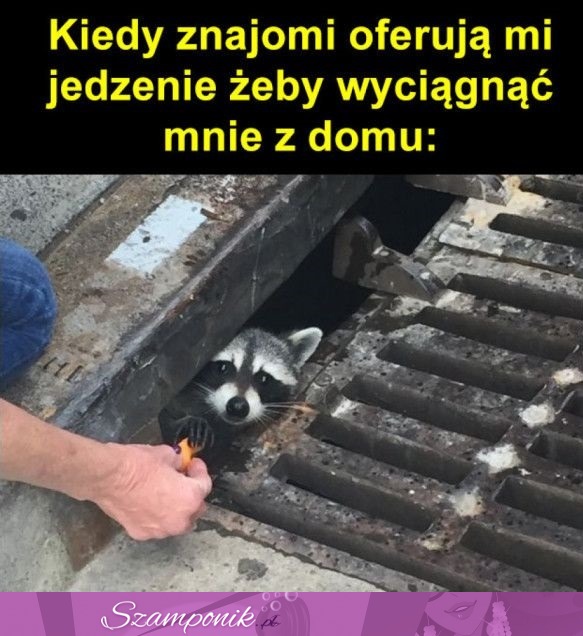 Nie lubię ich za to!