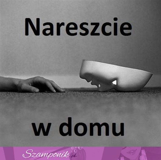 Nareszcie w domu