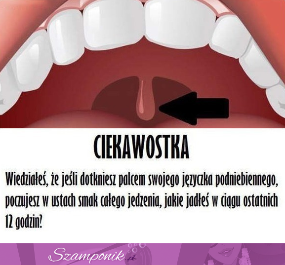 Wiesz do czego to służy? Ma specjalne zadanie, które pozwoli Ci na... ;)