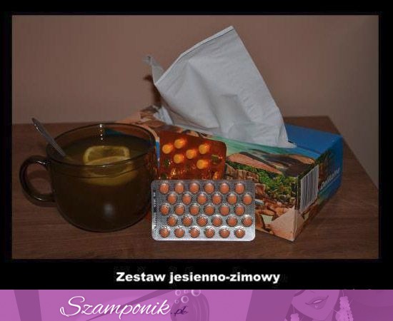 Zestaw zimowy