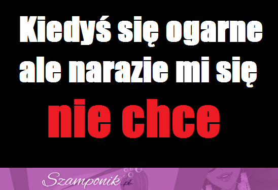 Kiedyś się ogarnę ;D