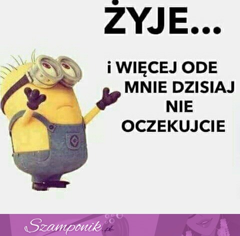 Nie oczekujcie zbyt wiele ;D