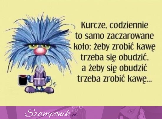 Zaczarowane koło