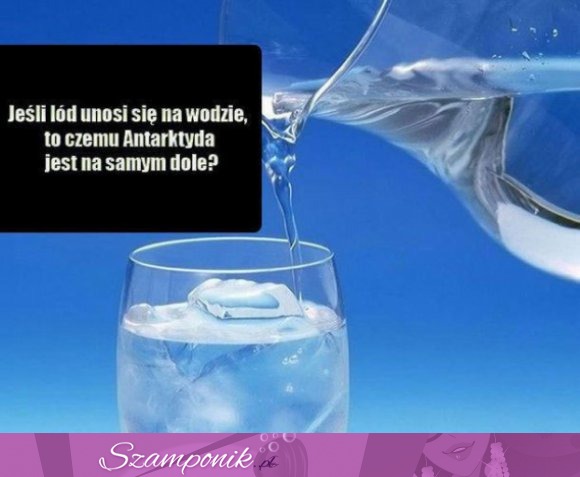 14 głupich pytań, na które nie warto odpowiadać :D