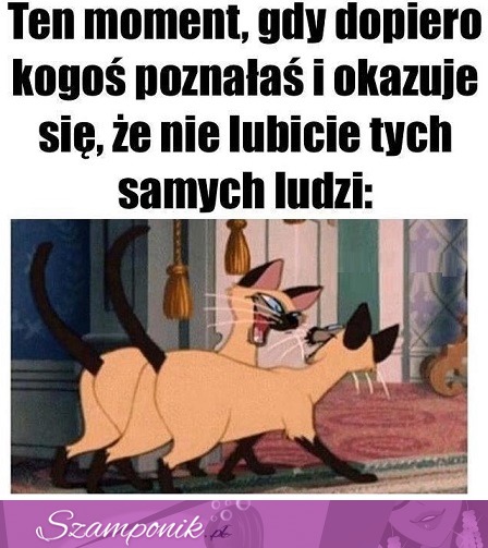 To będzie wspaniała znajomość ;D