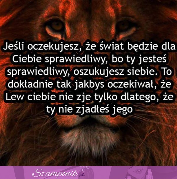 Oszukiwanie śwaita...