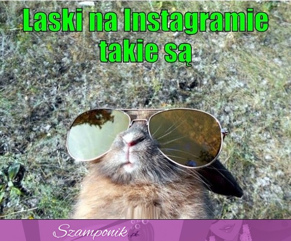 Laski takie są