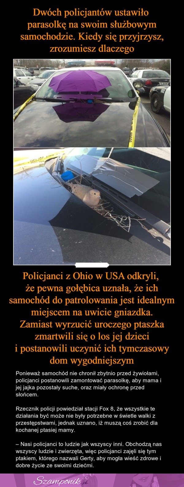 Dwóch policjantów ustawiło PARASOLKĘ na swoim służbowym samochodzie. Kiedy się przyjrzysz, ZROZUMIESZ dlaczego!