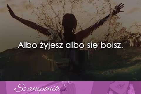 Albo żyjesz albo...