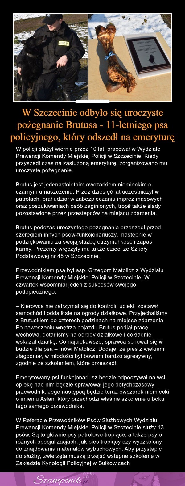 W Szczecinie odbyło się uroczyste pożegnanie Brutusa - 11-letniego psa policyjnego, który odszedł na emeryturę