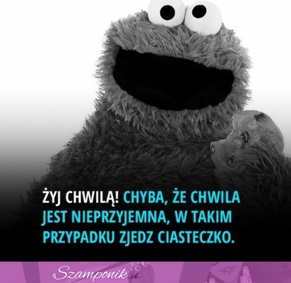 Żyj chwilą!