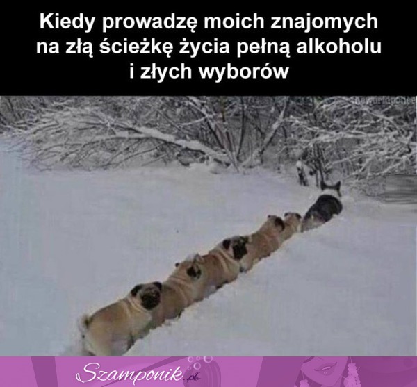 A oni tego jeszcze nie wiedzą