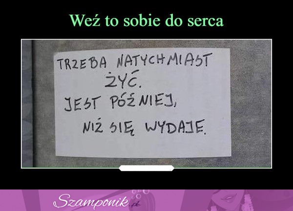 Działaj!