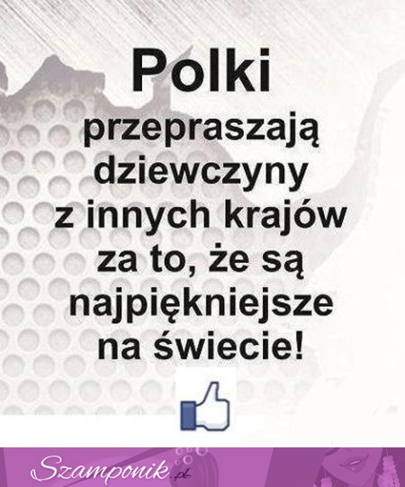 My polski przepraszamy